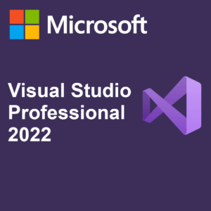 Visual studio professional 2022 product key