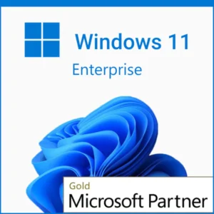 Buy Windows 11 Enterprise License Key