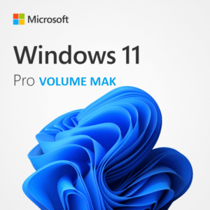 Buy Windows 11 Pro Volume Mak Key