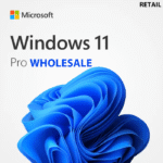 Windows 11 Pro Wholesale Bulk License