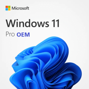 Buy Windows 11 Pro OEM Key